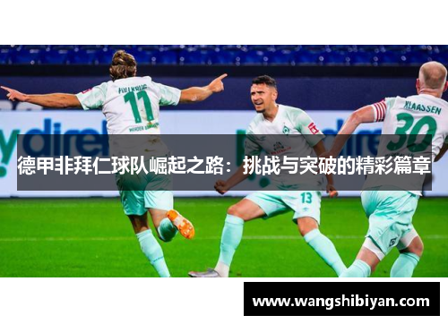 德甲非拜仁球队崛起之路：挑战与突破的精彩篇章