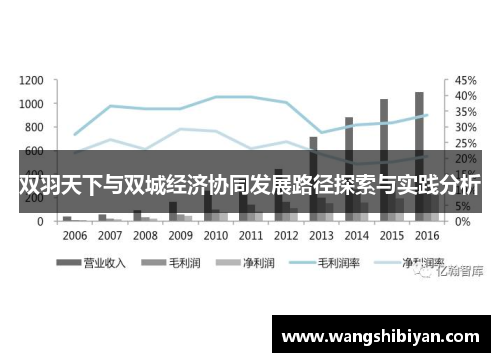 双羽天下与双城经济协同发展路径探索与实践分析