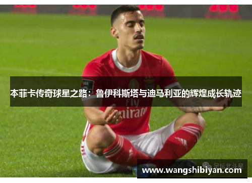 本菲卡传奇球星之路：鲁伊科斯塔与迪马利亚的辉煌成长轨迹