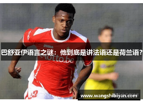 巴舒亚伊语言之谜：他到底是讲法语还是荷兰语？